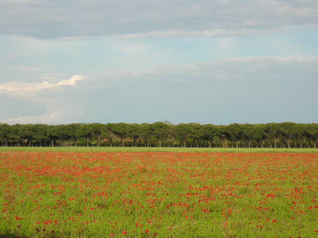 Appartamento Riviera Bibione Exterior foto
